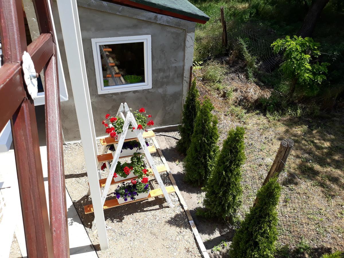 Apartman I Sobe Nikolas Palić Exteriér fotografie