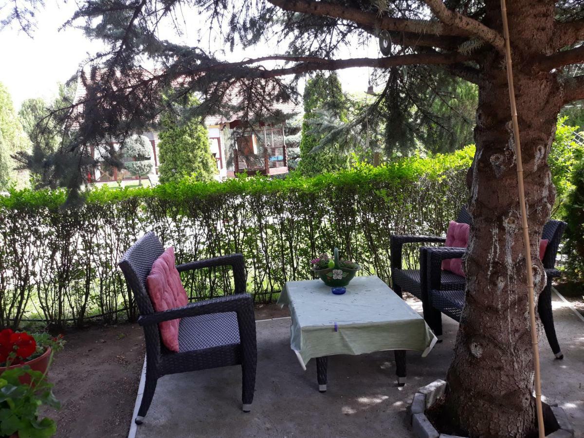 Apartman I Sobe Nikolas Palić Exteriér fotografie